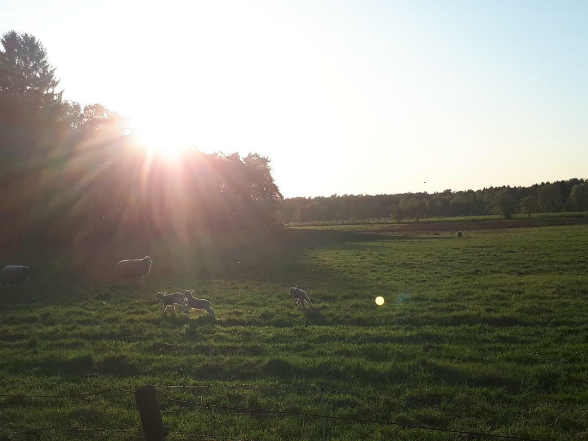 Schoene Komplette Ferienwohnung In Wesel Везель Экстерьер фото